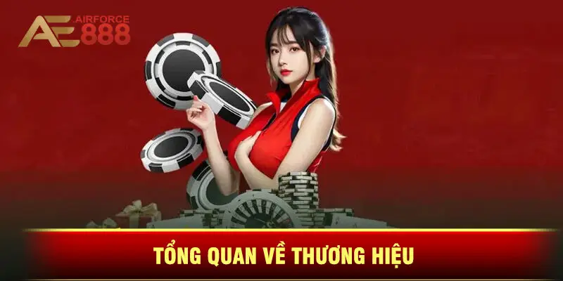 Tổng Quan Về Thương Hiệu