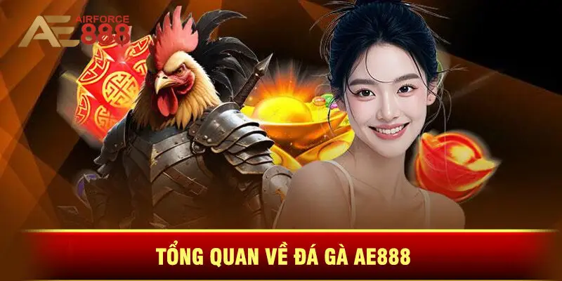 Tổng Quan Về Đá Gà Ae888