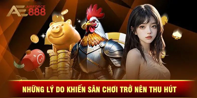 Những Lý Do Khiến Sân Chơi Trở Nên Thu Hút