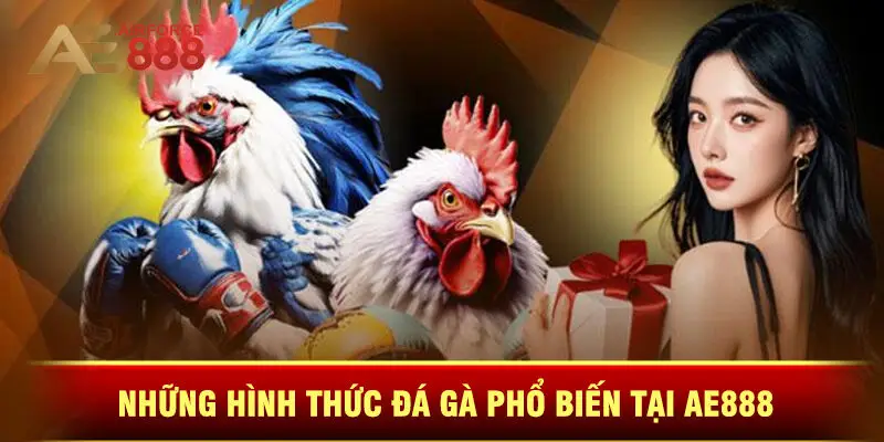Những Hình Thức Đá Gà Phổ Biến Tại Ae888