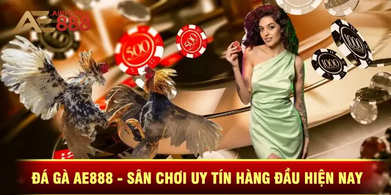 Đá Gà Ae888 - Sân Chơi Uy Tín Hàng Đầu Hiện Nay