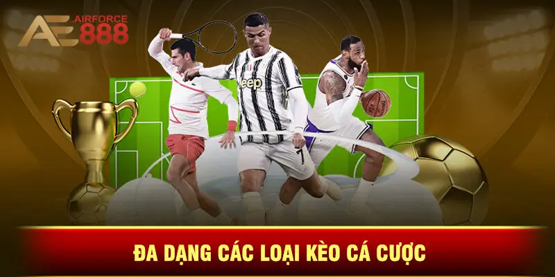 Đa Dạng Các Loại Kèo Cá Cược